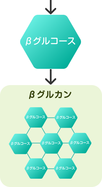 βグルコース→βグルカン構造図